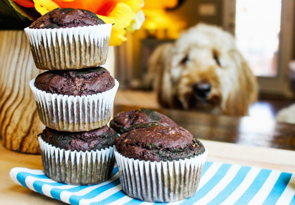 Chocolate Matcha Muffins (gluten free/dairy free) Simply Taralynn