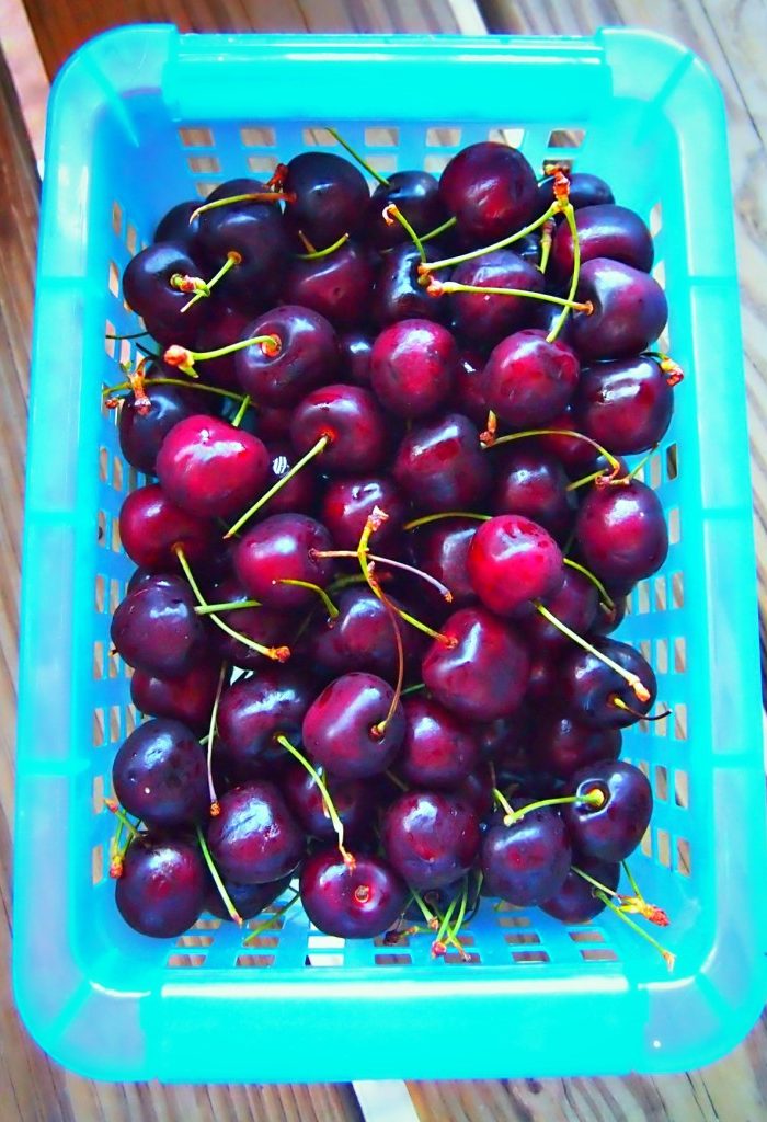 Fresh Cherries from the Chicago Farmer’s Market