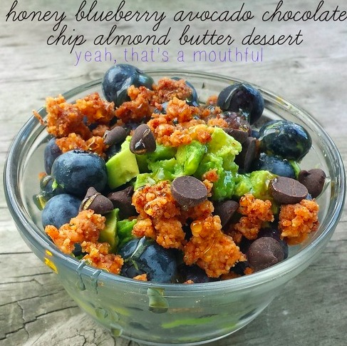 Honey Blueberry Avocado Chocolate Chip Almond Butter Dessert: Yeah, That’s a Mouthful!