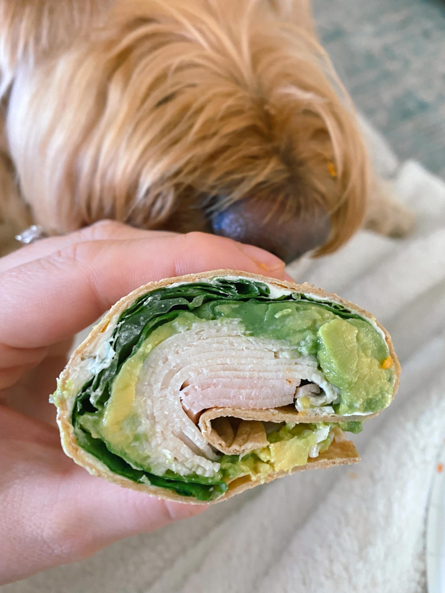 turkey and avocado wrap