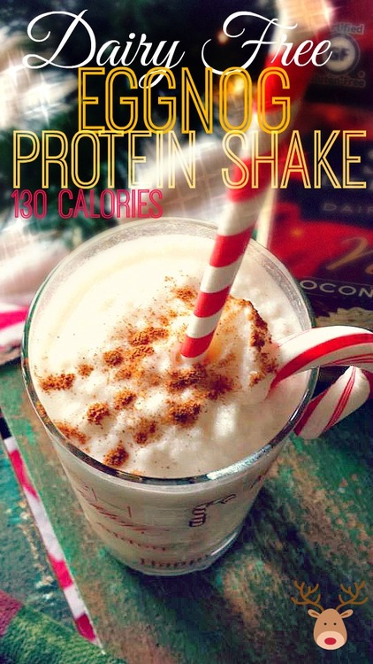 130 Calorie Dairy Free Eggnog Protein Shake!