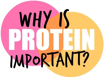 Why Is Protein Important & My Favorite Ways to Get It!