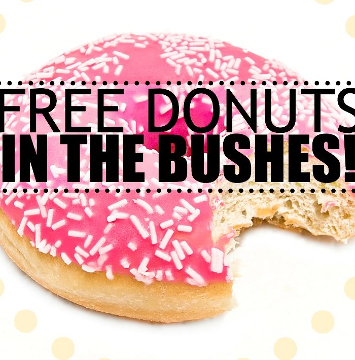 Free Frosted Jelly Donuts!