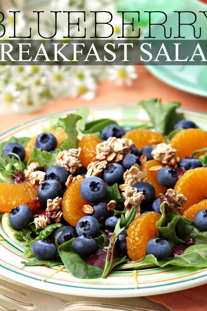 Red White & Blueberry Recipes: Blueberry Breakfast Salad