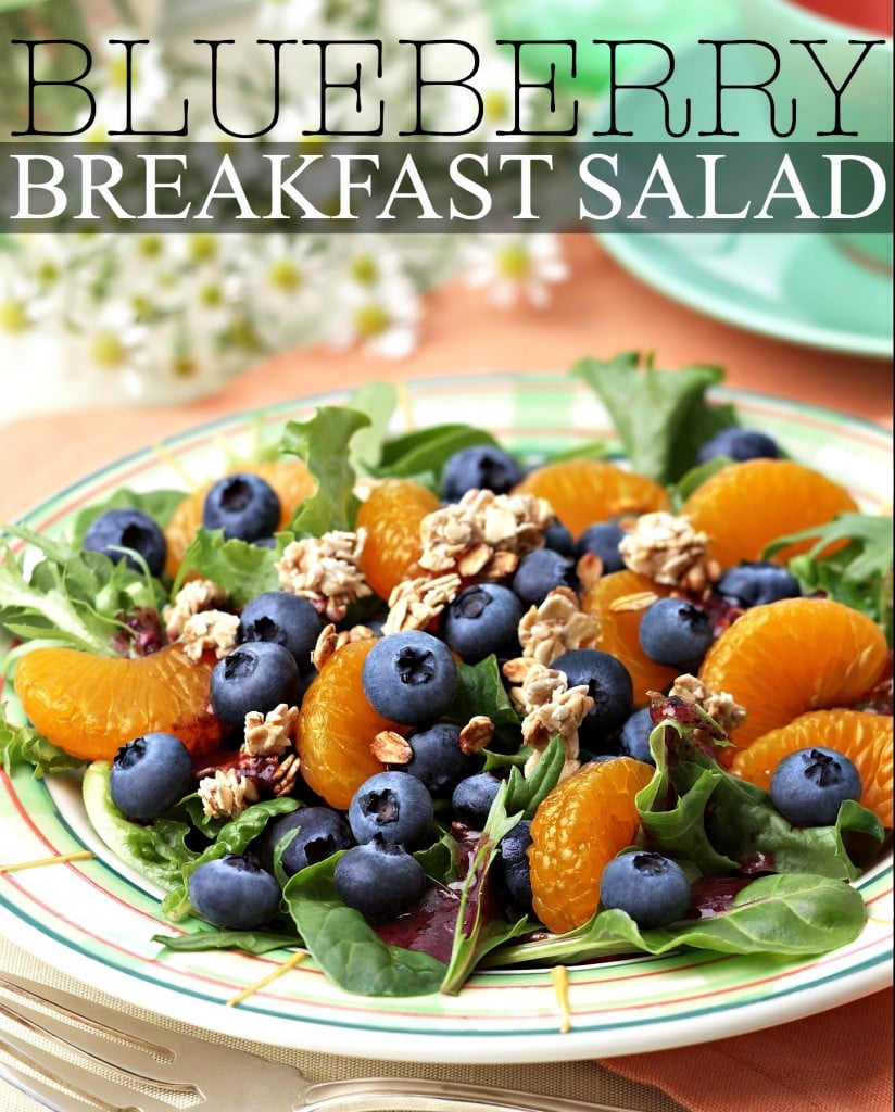 BC-IC-12 Blueberry Breakfast Salad