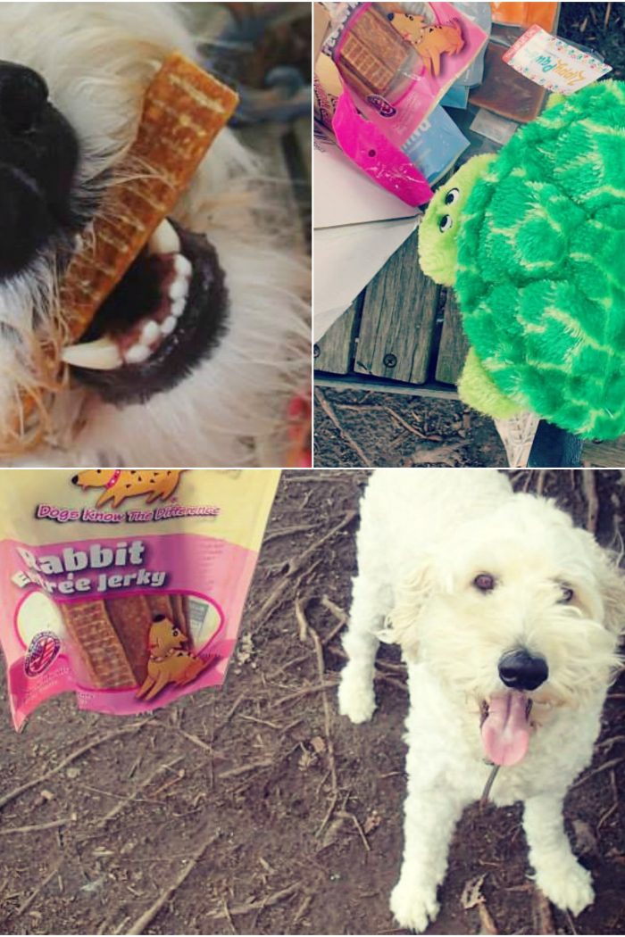 Doggy Loot Giveaway: $300 Worth of Healthy Dog Treats, Chews, & Toys!