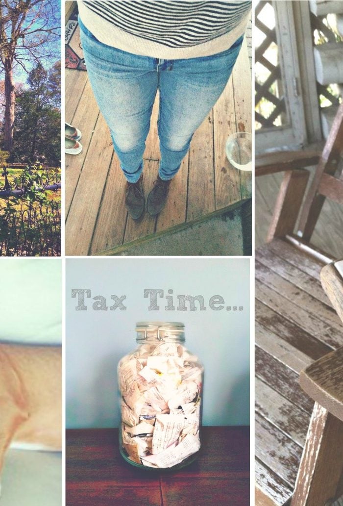 Tax Time, Pups, Waxhaw, Salad & More!