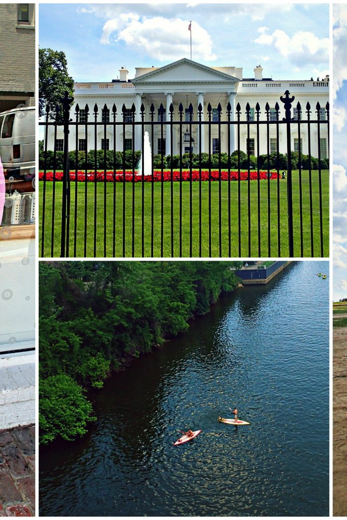 The White House, Georgetown Cupcakes, & More!