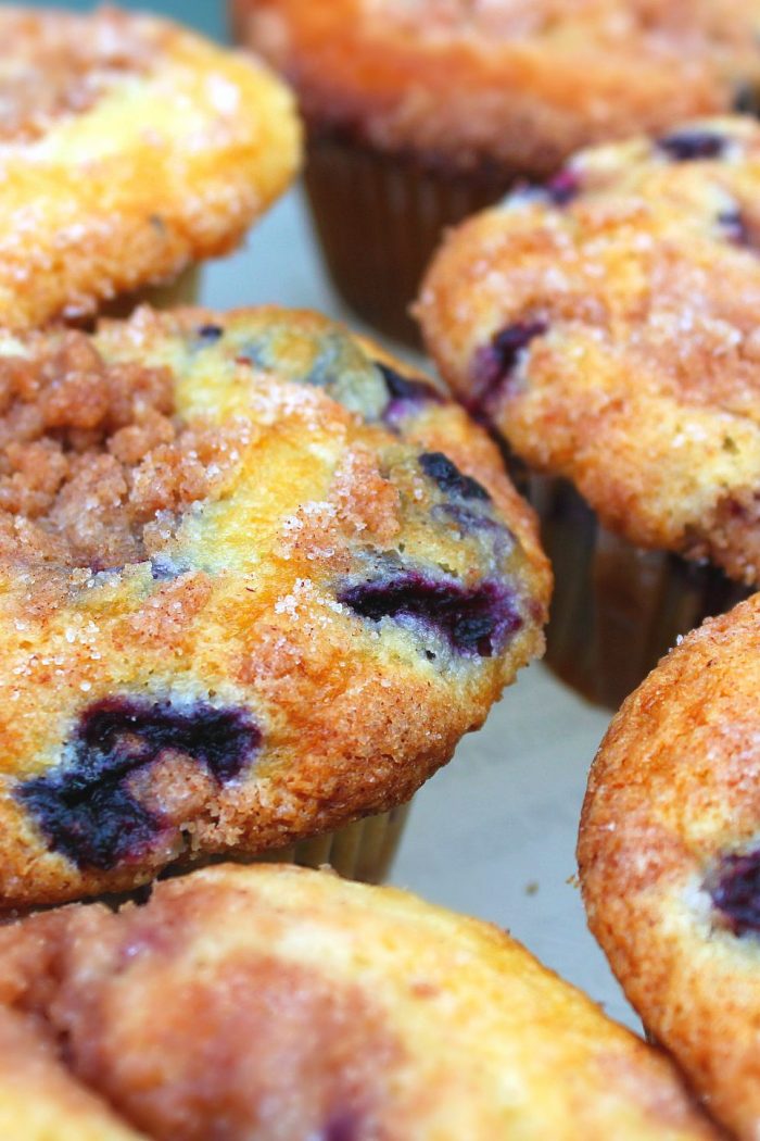Blueberry Muffins W/ Cinnamon Sugar Streusel