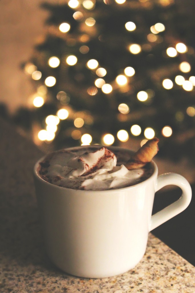 Light Eggnog Hot Cocoa - Simply Taralynn | Food & Lifestyle Blog
