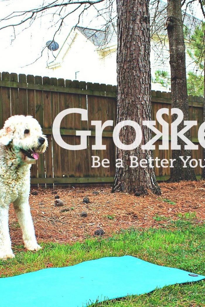 Get Fit With Grokker!