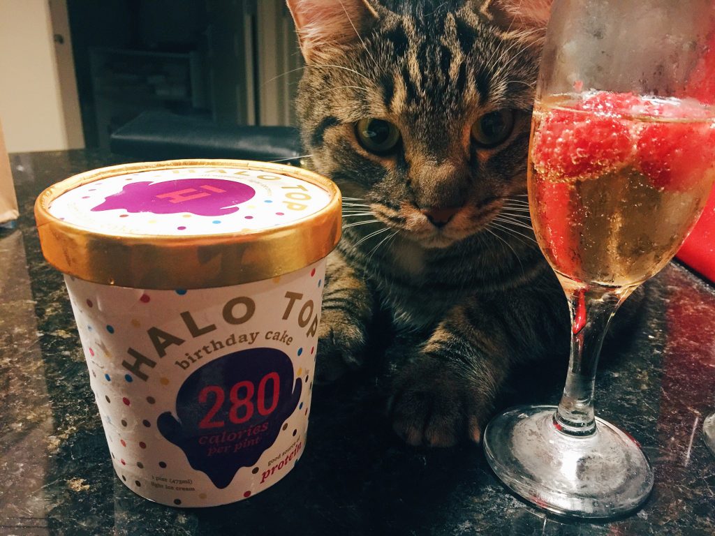 Jax the crazy cat and halo top ice cream