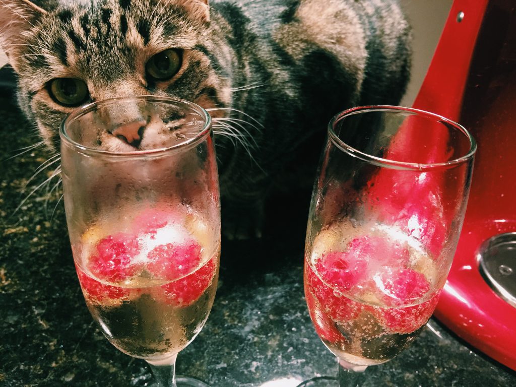 champagne and berries