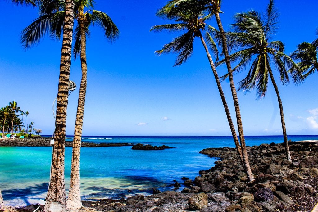activities on the big island kona beach hawaii travel palm trees 