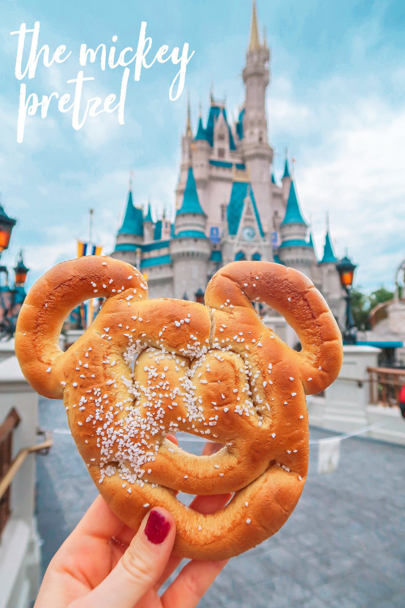 The Mickey Mouse Pretzel Walt Disney World Magic Kingdom 