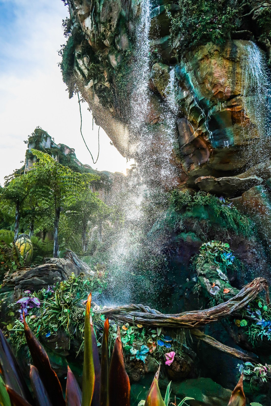 Insta-worthy Instagramable Spots Walls Disney World Animal kingdom