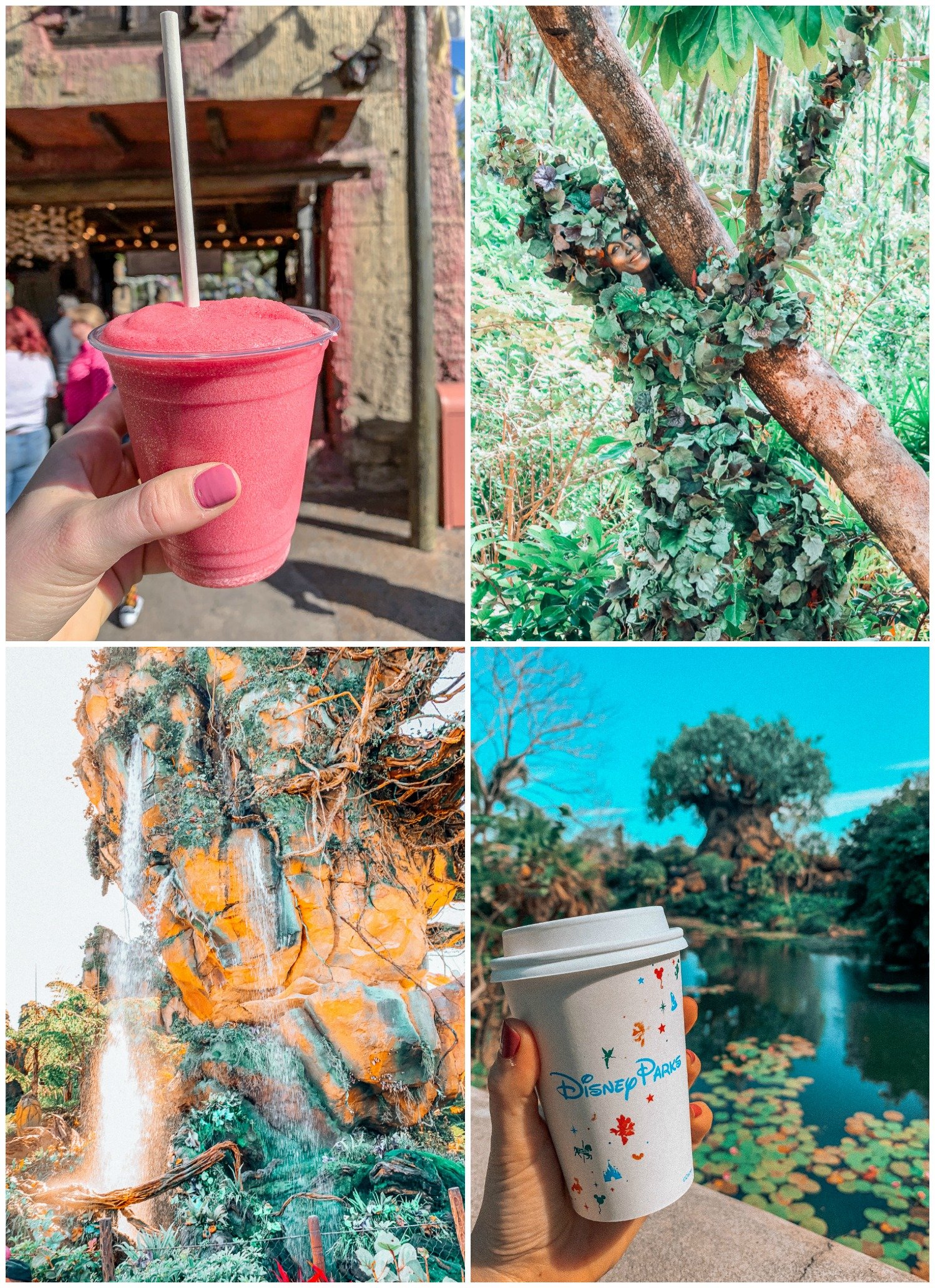 Itinerary Walt Disney World Animal Kingdom Nomad Lounge coffee mount Everest thirsty river 
