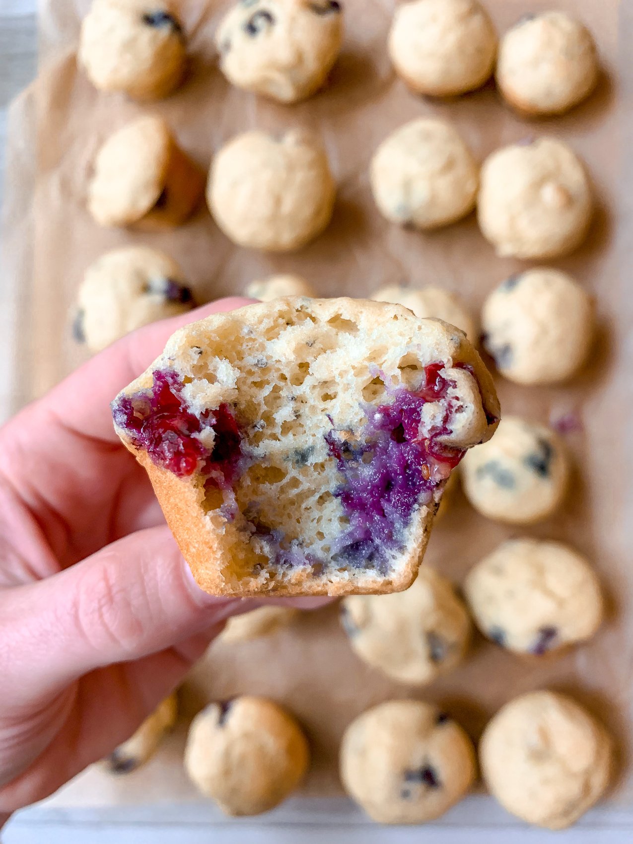 blueberry paleo almond flour muffins
