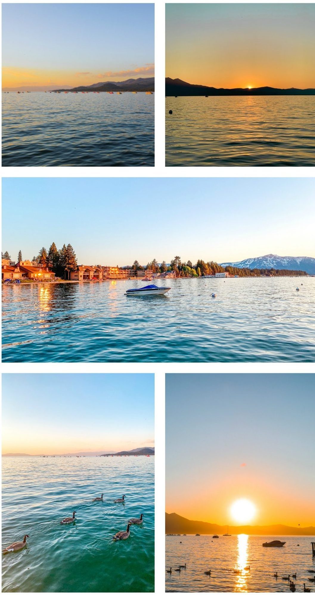 Lake Tahoe South, Travel Blog, Simply Taralynn, Travel Blogger, Traveling, Blog, Travel, Mountains, Edgewood Bistro, California, Nevada, Summer, Trips, Traveling to Tahoe, Lake Tahoe, Where to eat, drink, stay, boating, see, things to do in Lake Tahoe, summer in lake tahoe