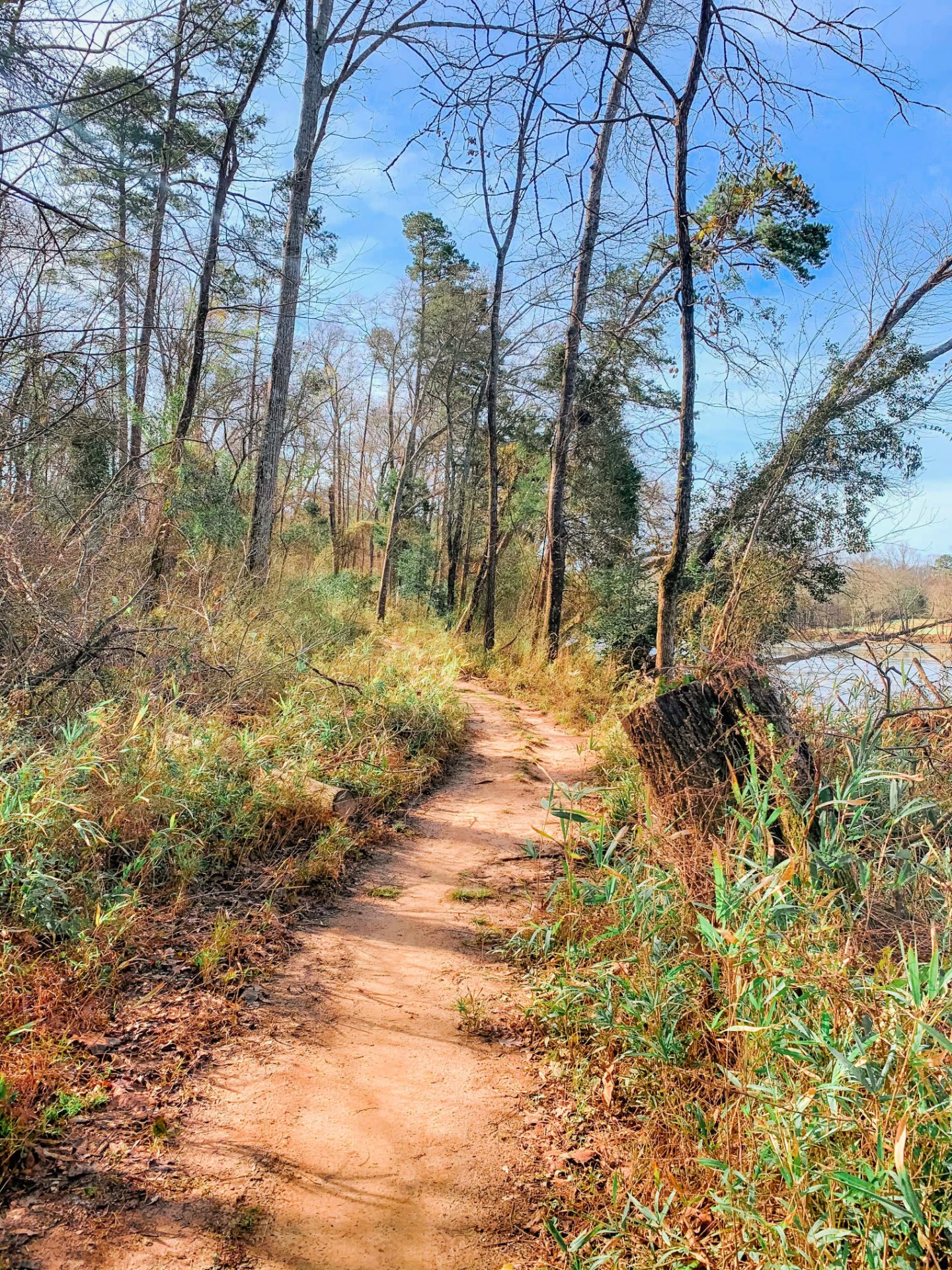 trail walking, masons trail, masons bend, trail morning, fitness, walking, South Carolina