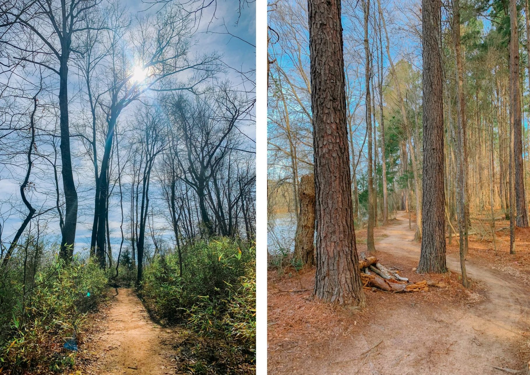trail walking, masons trail, masons bend, trail morning, fitness, walking, South Carolina