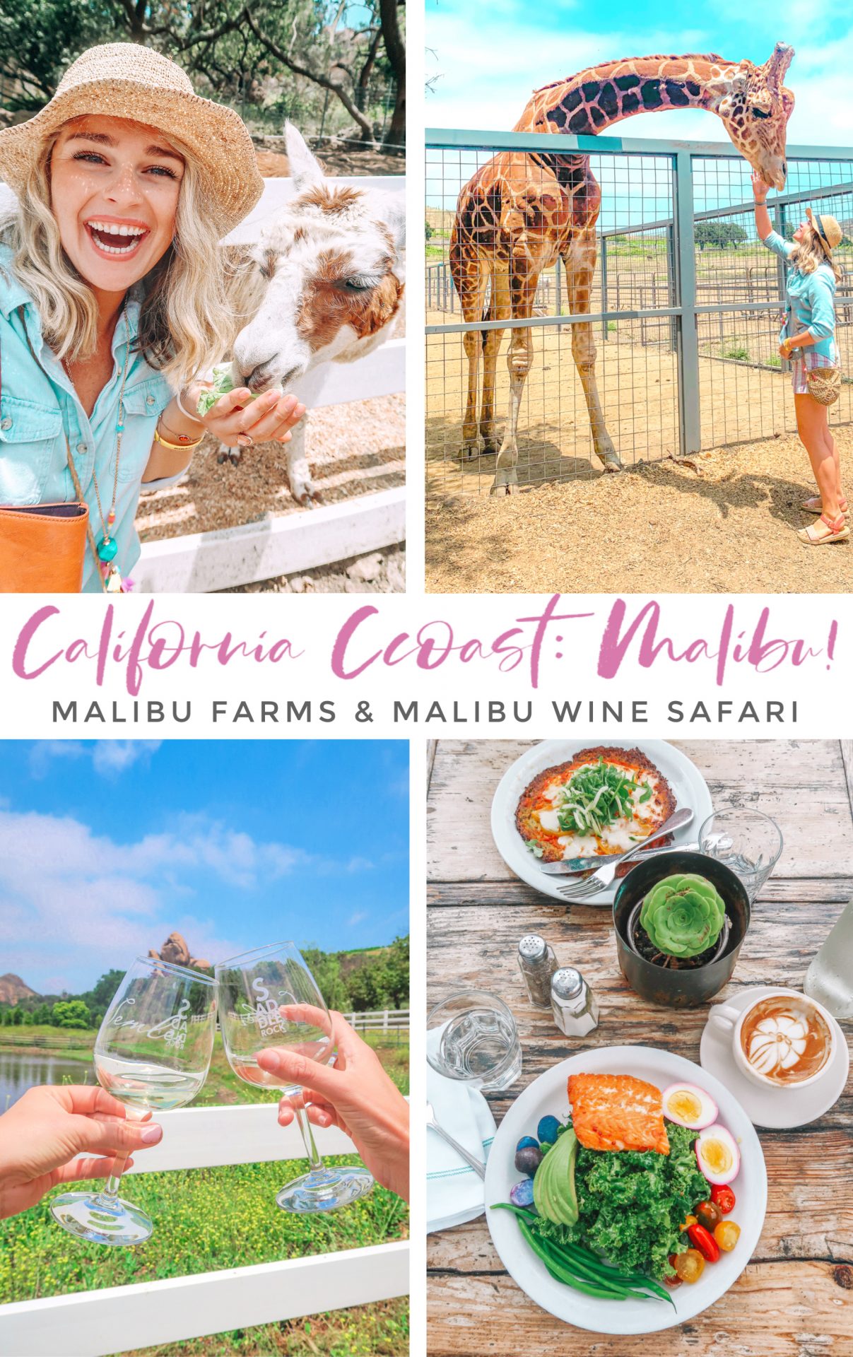 Malibu farms, california coast, restaurants, pacific highway, highway one, malibu wine safari, visiting malibu, LA, los Angelos, orange county, travel