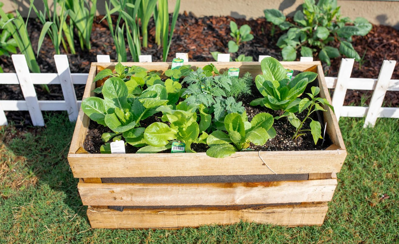 diy garden, potato crate, crate garden, vegetable garden, veggies, gardening, lettuce, food, harvest