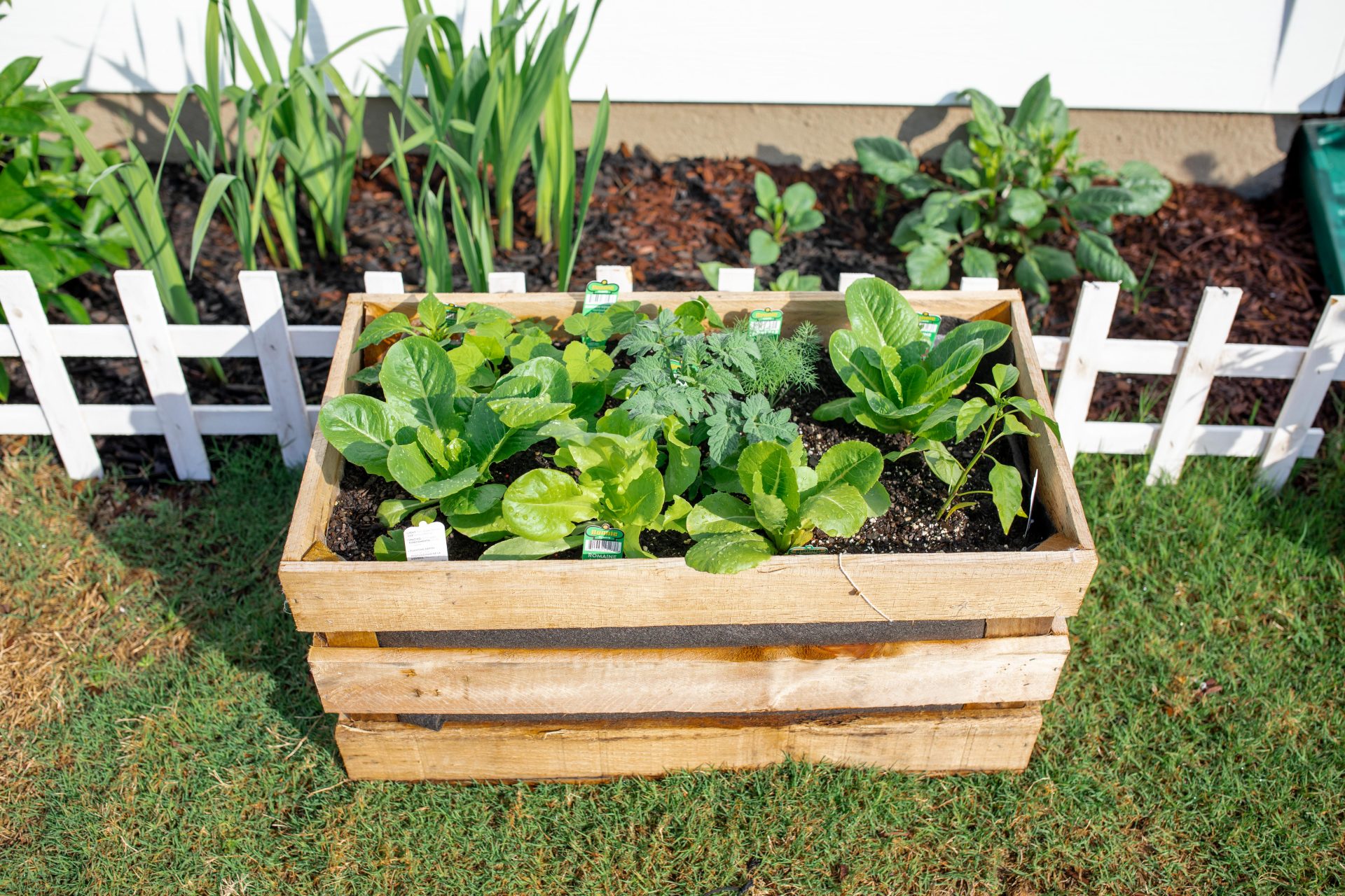 diy garden, potato crate, crate garden, vegetable garden, veggies, gardening, lettuce, food, harvest