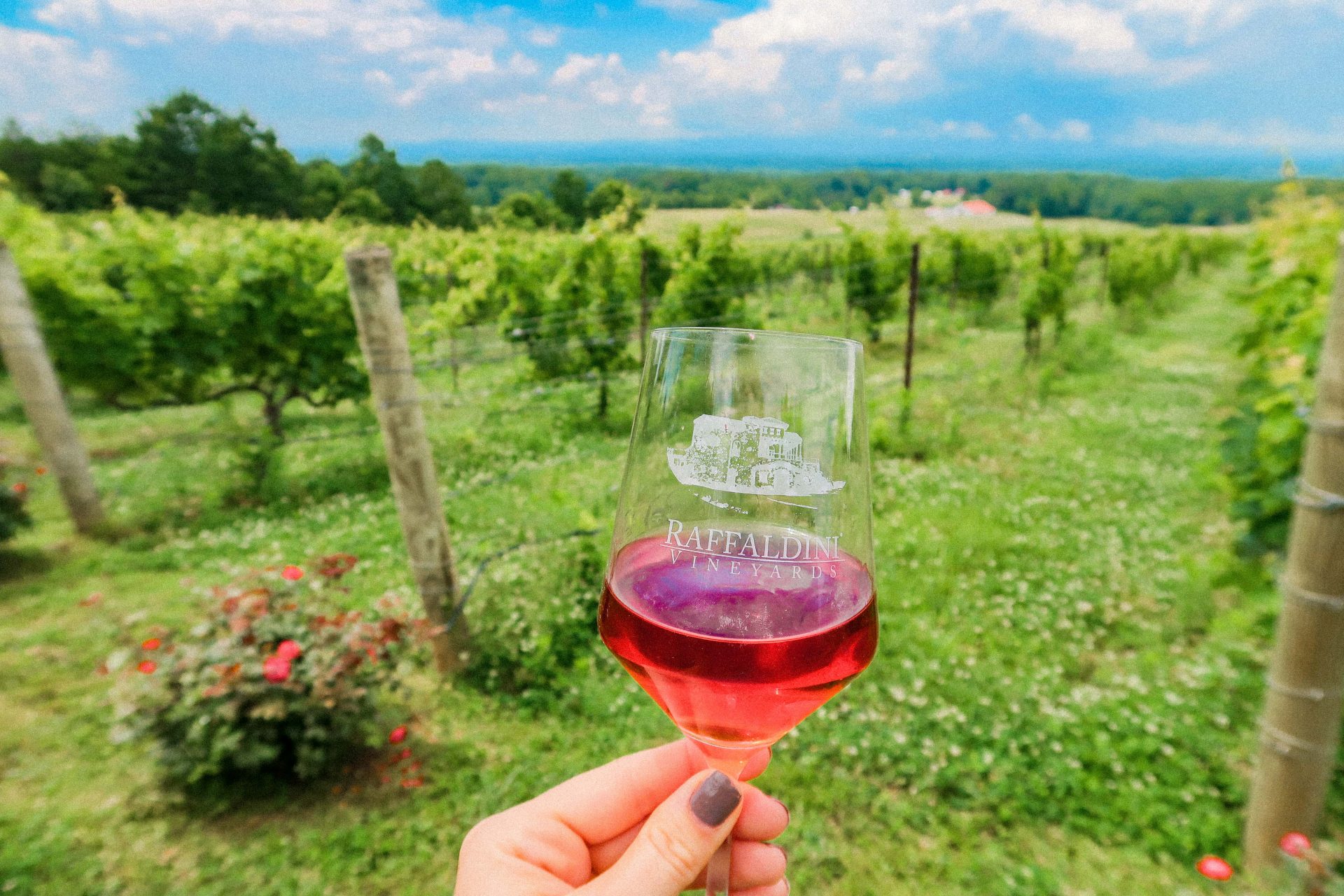 A Day Trip to Raffaldini Vineyards | North Carolina Winery