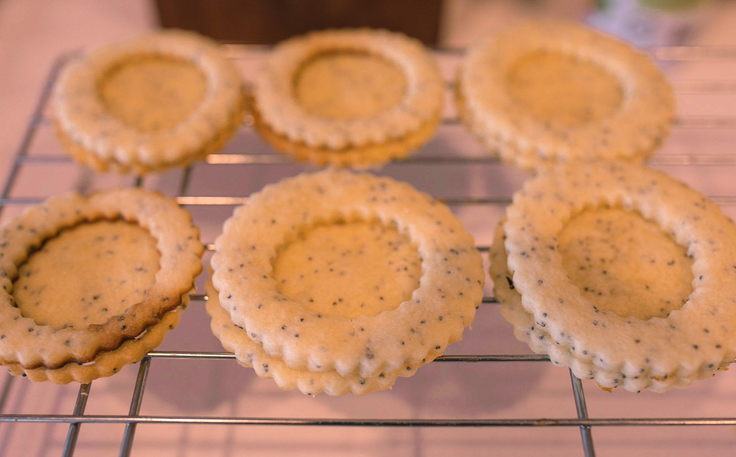christmas cookie, lemon poppy seed, lemon linzer cookies, shortbread cookies, vegan, dairy-free, lemon shortbread cookies, baking, jam, raspberry, jelly