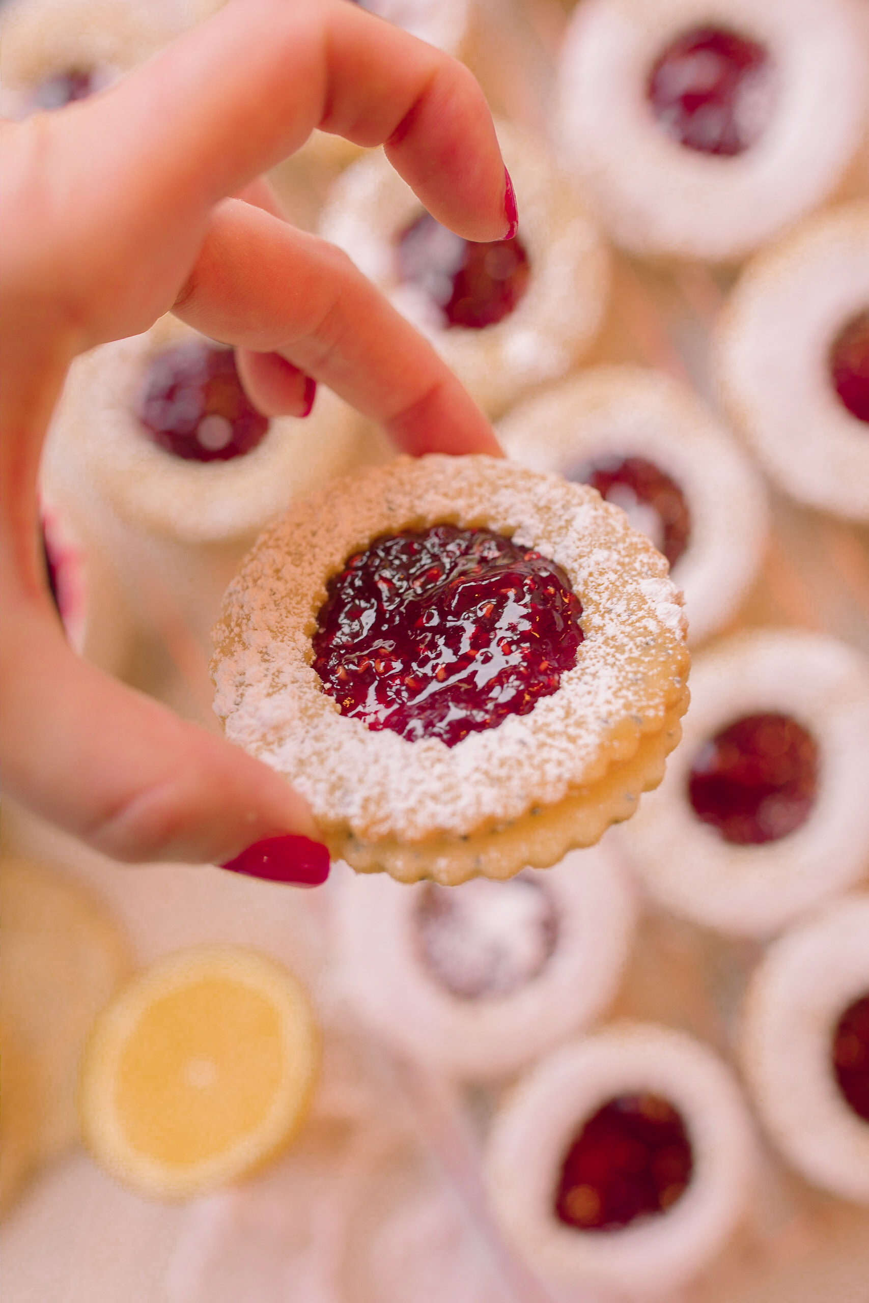 christmas cookie, lemon poppy seed, lemon linzer cookies, shortbread cookies, vegan, dairy-free, lemon shortbread cookies, baking, jam, raspberry, jelly