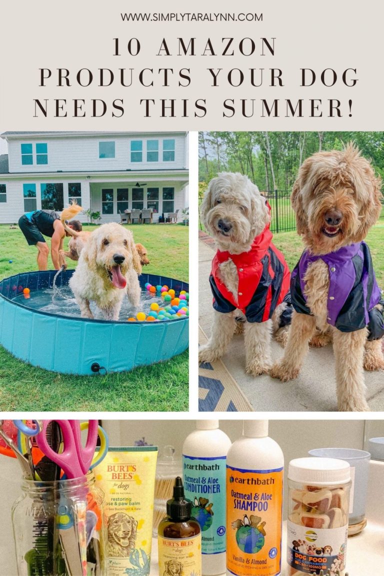 10 Items You Didn't Know Your Dog Needed This Summer - Simply Taralynn ...