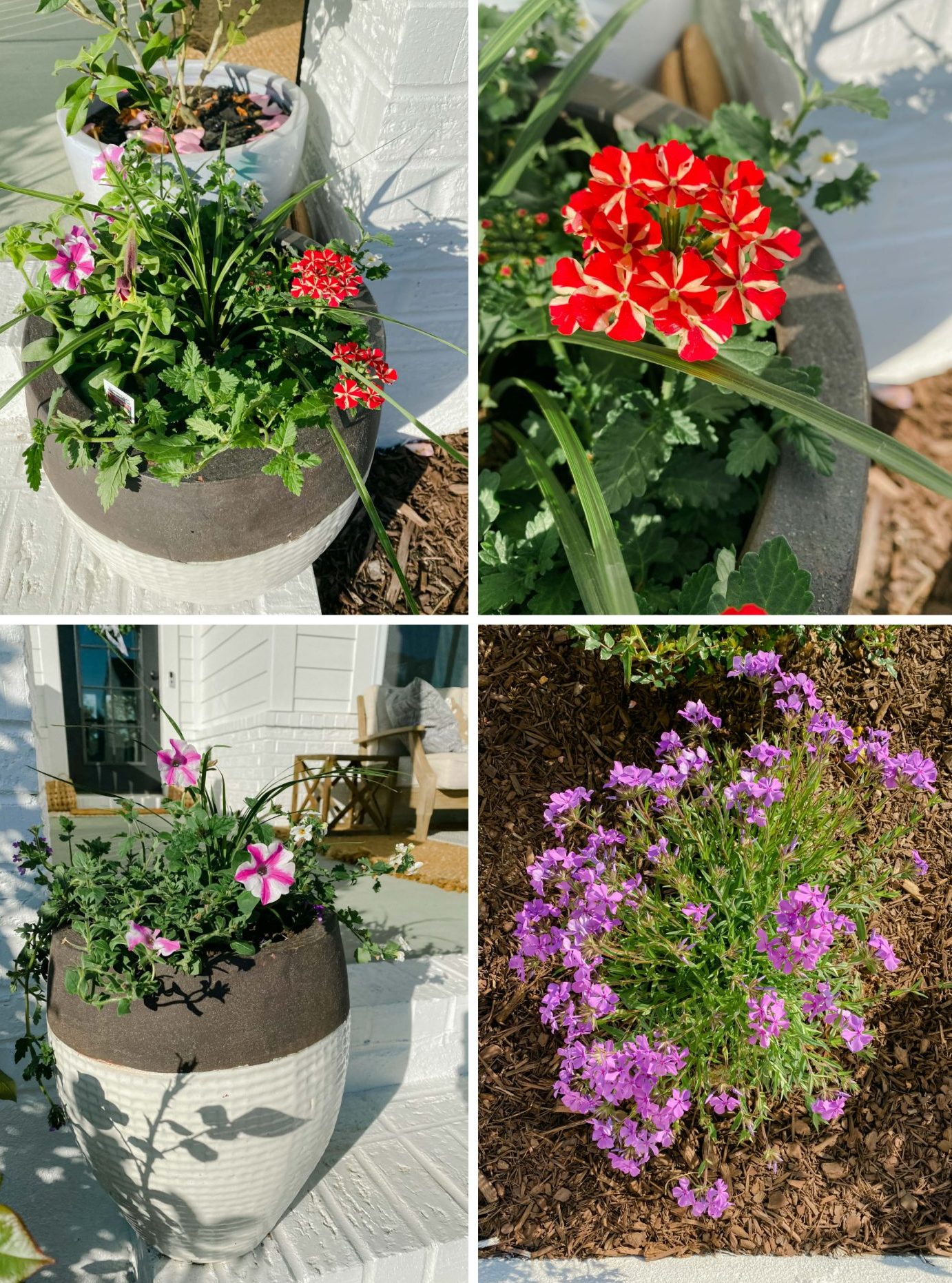 Wilsons rock hill nursery, rock hill, South Carolina, flowers, garden center, potting, pots, flowers, front porch