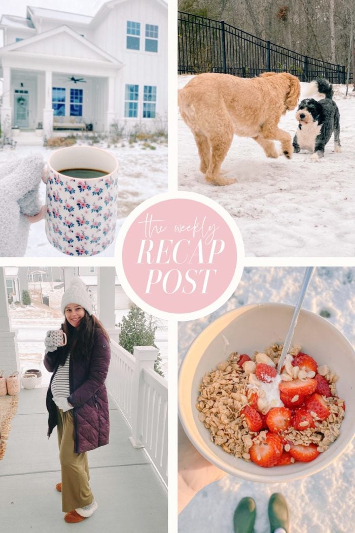 snow day, recap post, yogurt, pregnant 24 weeks, dogs, snow day