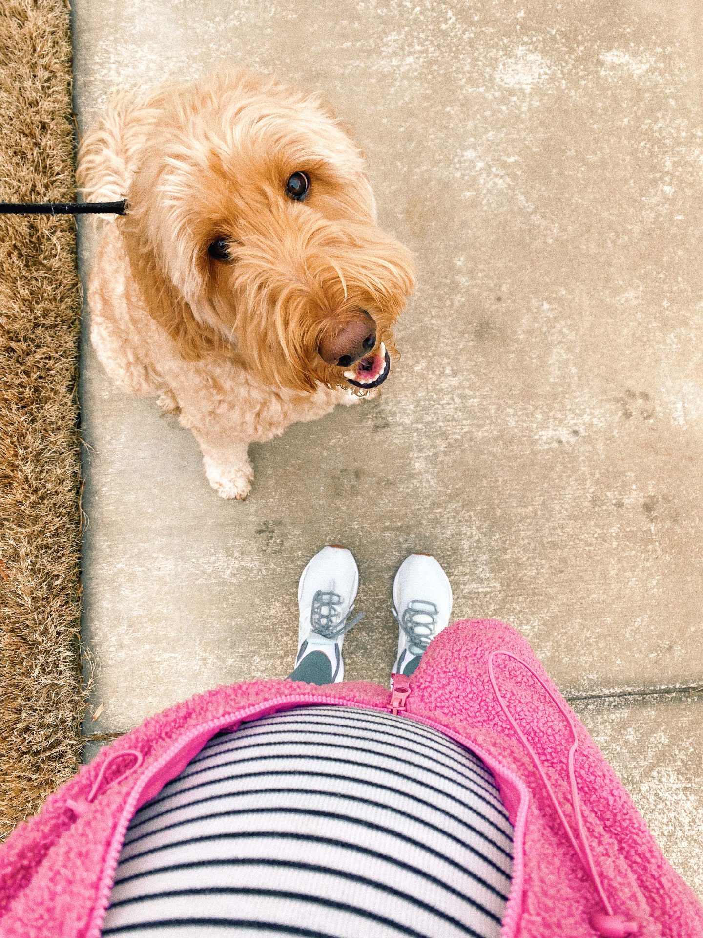 pregnancy exercises, walking the dog while pregnant