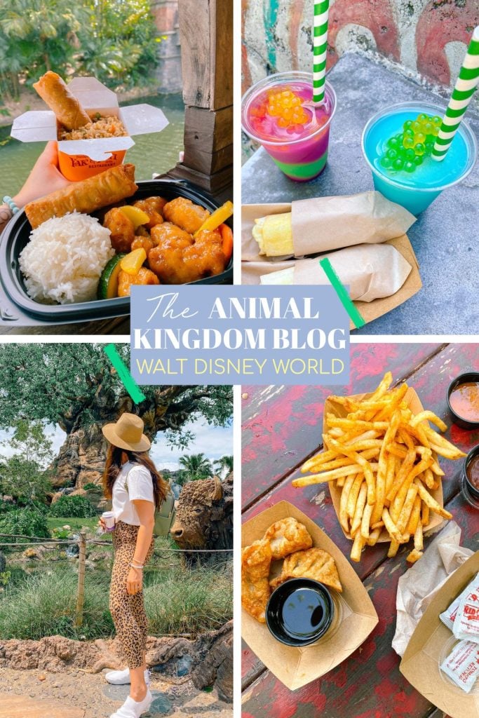 Ultimate Day at The Animal Kingdom, Disney Travel Blog - Simply Taralynn
