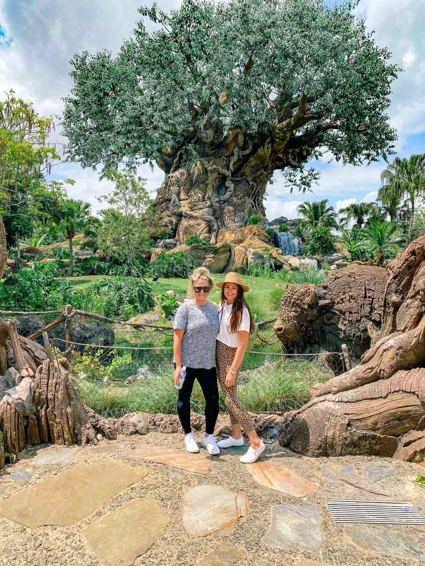 Ultimate Day at The Animal Kingdom | Disney Travel Blog - Simply Taralynn |  Food & Lifestyle Blog