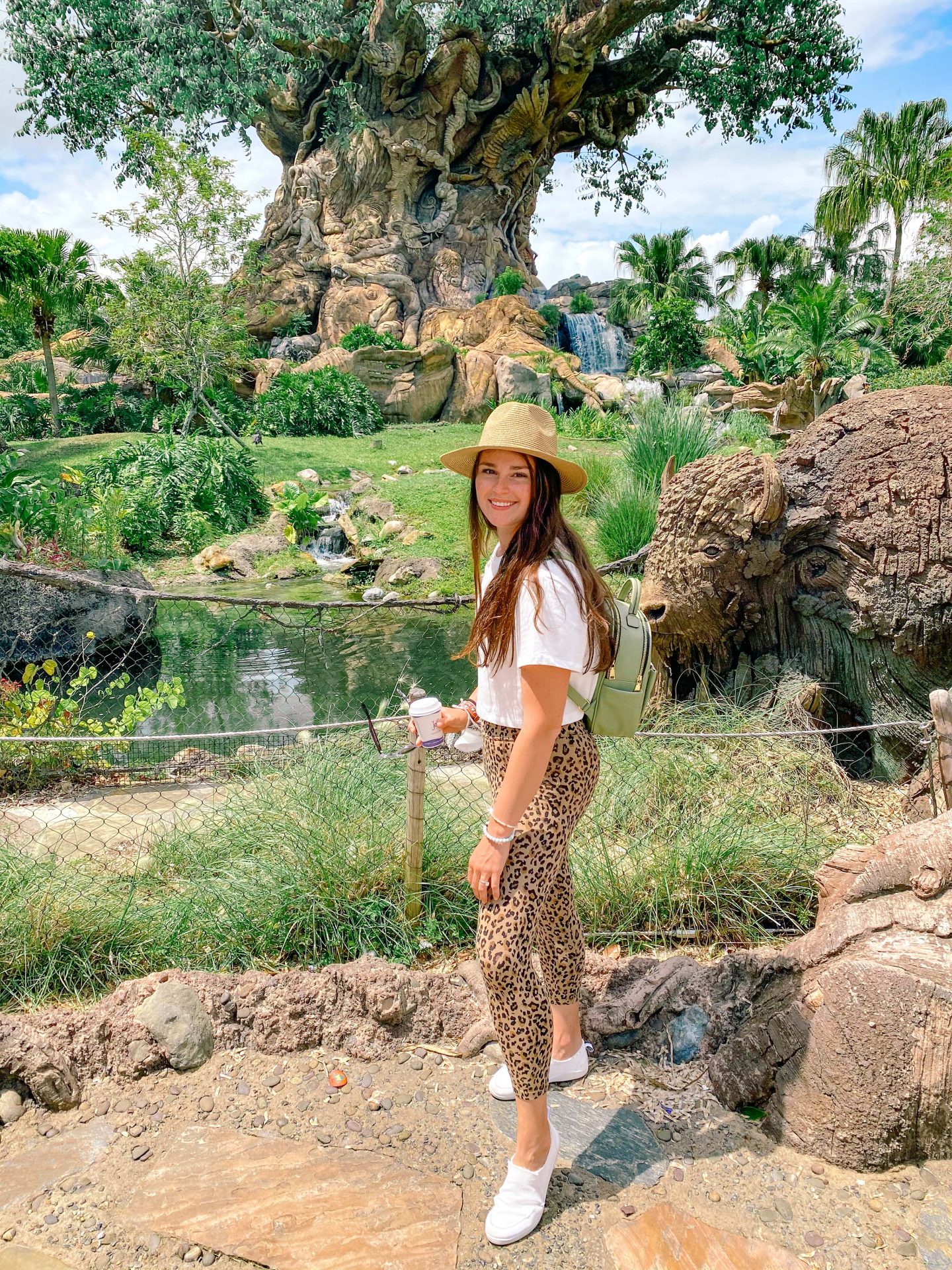 Ultimate Day at The Animal Kingdom | Disney Travel Blog - Simply Taralynn |  Food & Lifestyle Blog