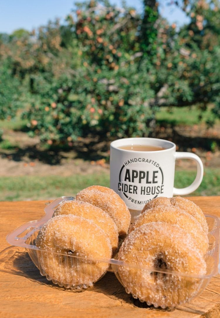 Visiting Local Farms to Kick Off the Fall Season - Simply Taralynn