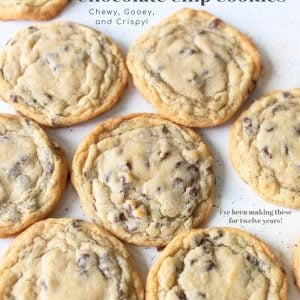chocolate chip cookies, the best chocolate chip cookie recipe, cookies, best ever chewy chocolate chip cookie recipe, easy chocolate chip cookies, basic chocolate chip cookie recipe, semi sweet chocolate chips, flour, butter, sugar, egg, brown sugar, baking soda, salt, and bake