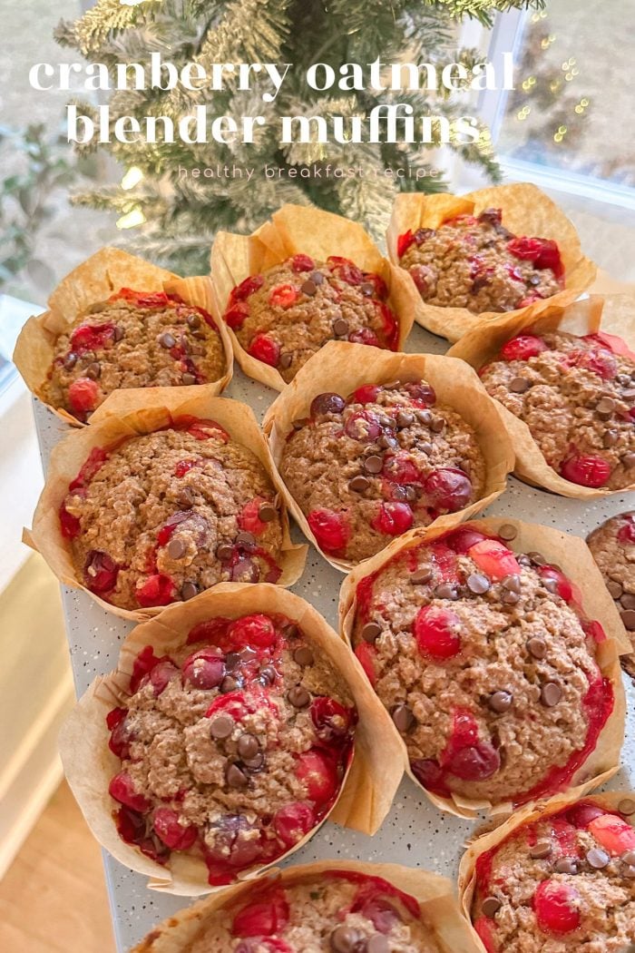 Cranberry Oatmeal Blender Muffins