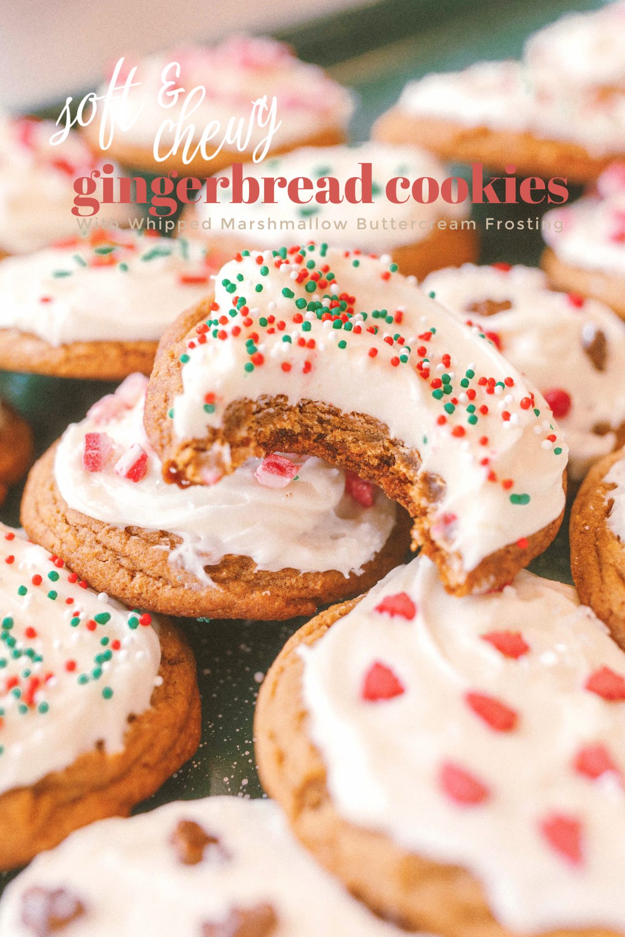 frosted gingerbread cookies, sprinkles, gingerbread cookie, chewy gingerbread, gingerbread, christmas baking, cookies, cookie recipe, festive, christmas cookies, 25 days of christmas, baking with kids, ginger cookies, molasses, pretty baking, gifts for family, baking gifts