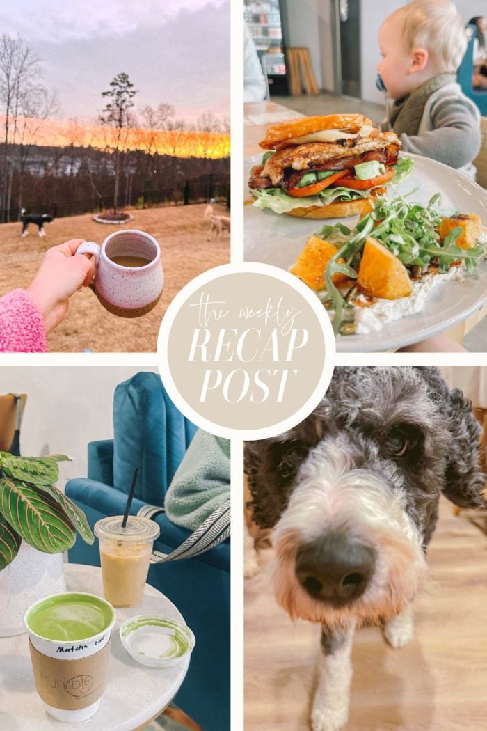Meals This Week, Coffee Dates, Garden Boxes & Workouts!