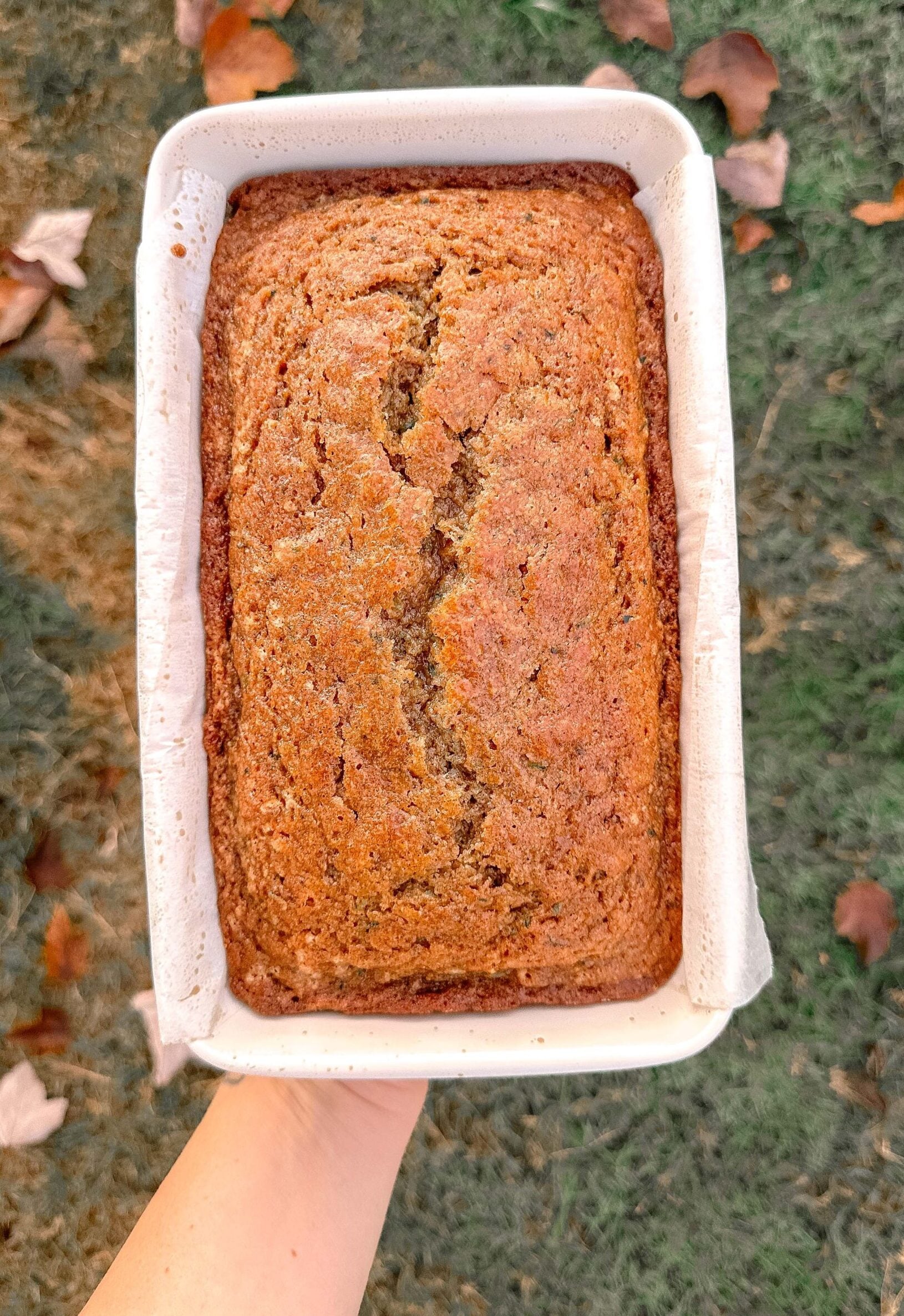 summer squash bread, zucchini bread, zucchini muffins, zucchini recipes, summer recipes, zucchini baking, how to use up zucchini, growing zucchini