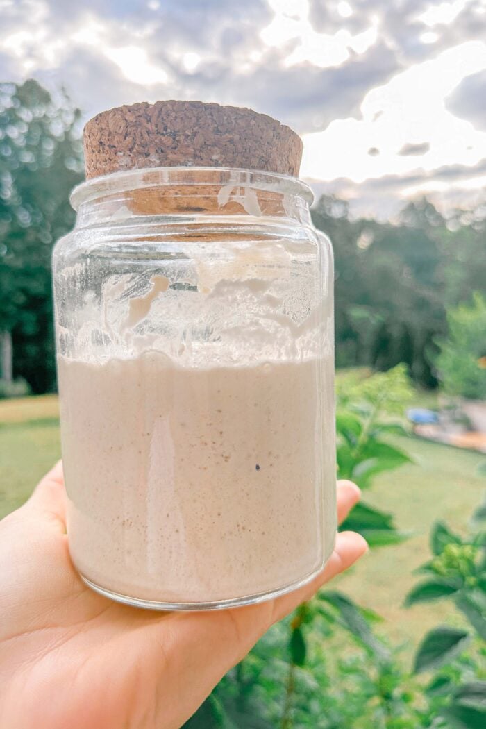 Where Can I Get Sourdough Starter From? + Make it Yourself!