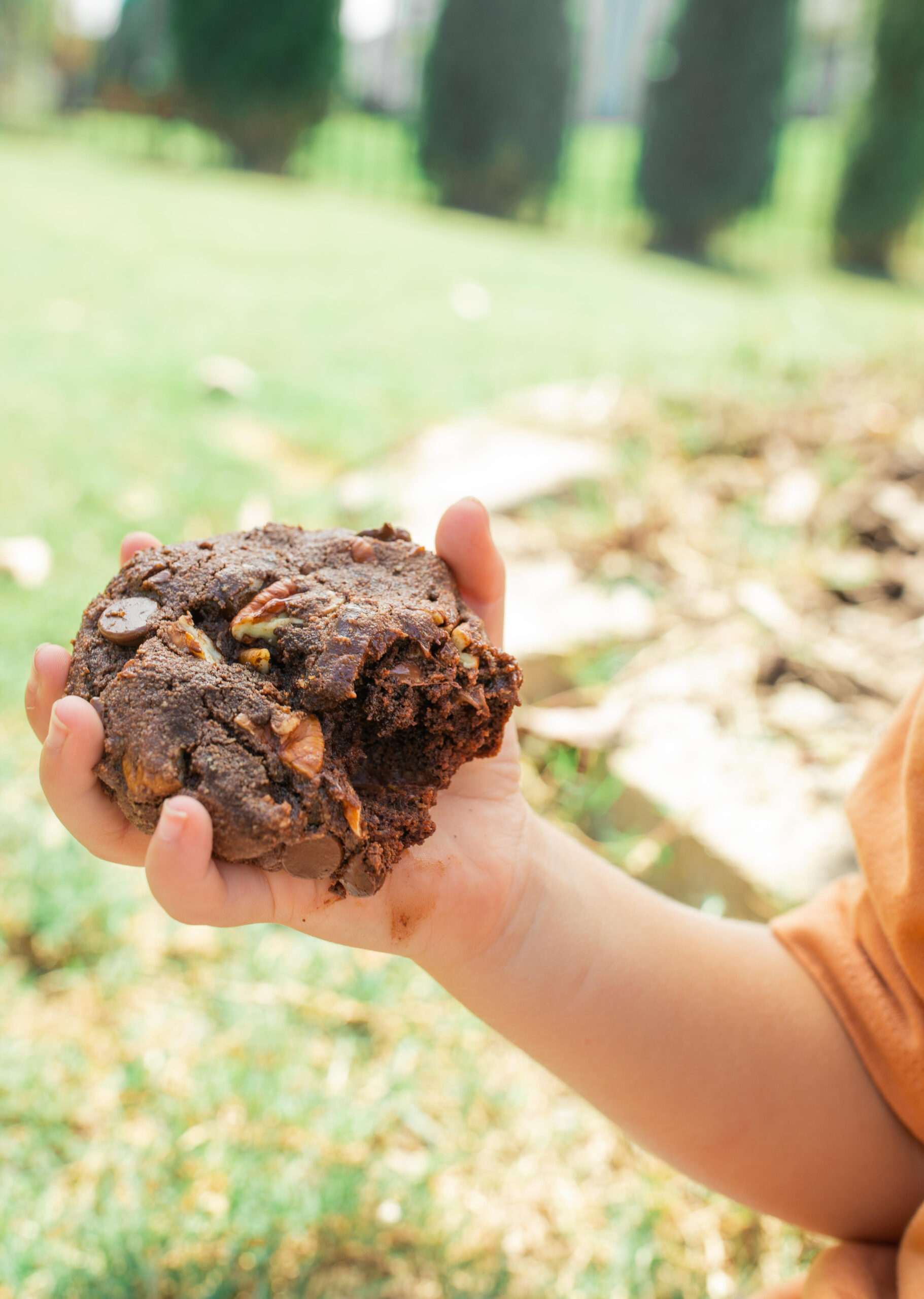 almond flour cookies, chocolate almond flour cookies, healthy chocolate desserts, dates, no refined sugar, gluten-free, chocolate chip cookie, healthy desserts, low sugar, low carb, healthy desserts for kids, pumpkin almond flour cookies, gluten free, dairy free, honey, gluten free almond flour cookies, cocoa powder, healthy almond flour cookies, pecans, protein in cookies, kids desserts, kids recipes, toddler approved, healthy dessert Ideas, healthy dessert, low calorie