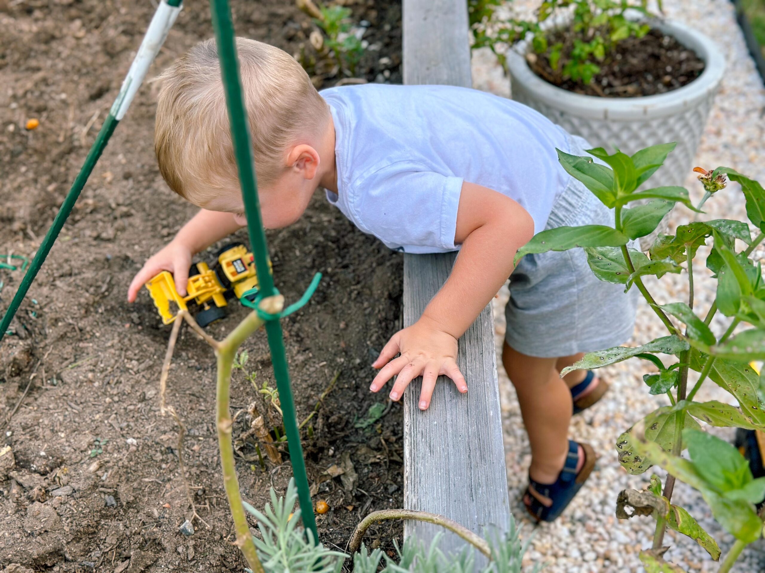 recap post, lifestyle blogger, mom life, fort mill south Carolina, toddlers, southpark, anne springs, parks in Charlotte, food, dinner, day in the life, boy mom, smoothies, healthy food, wax haw, recap post, daily life