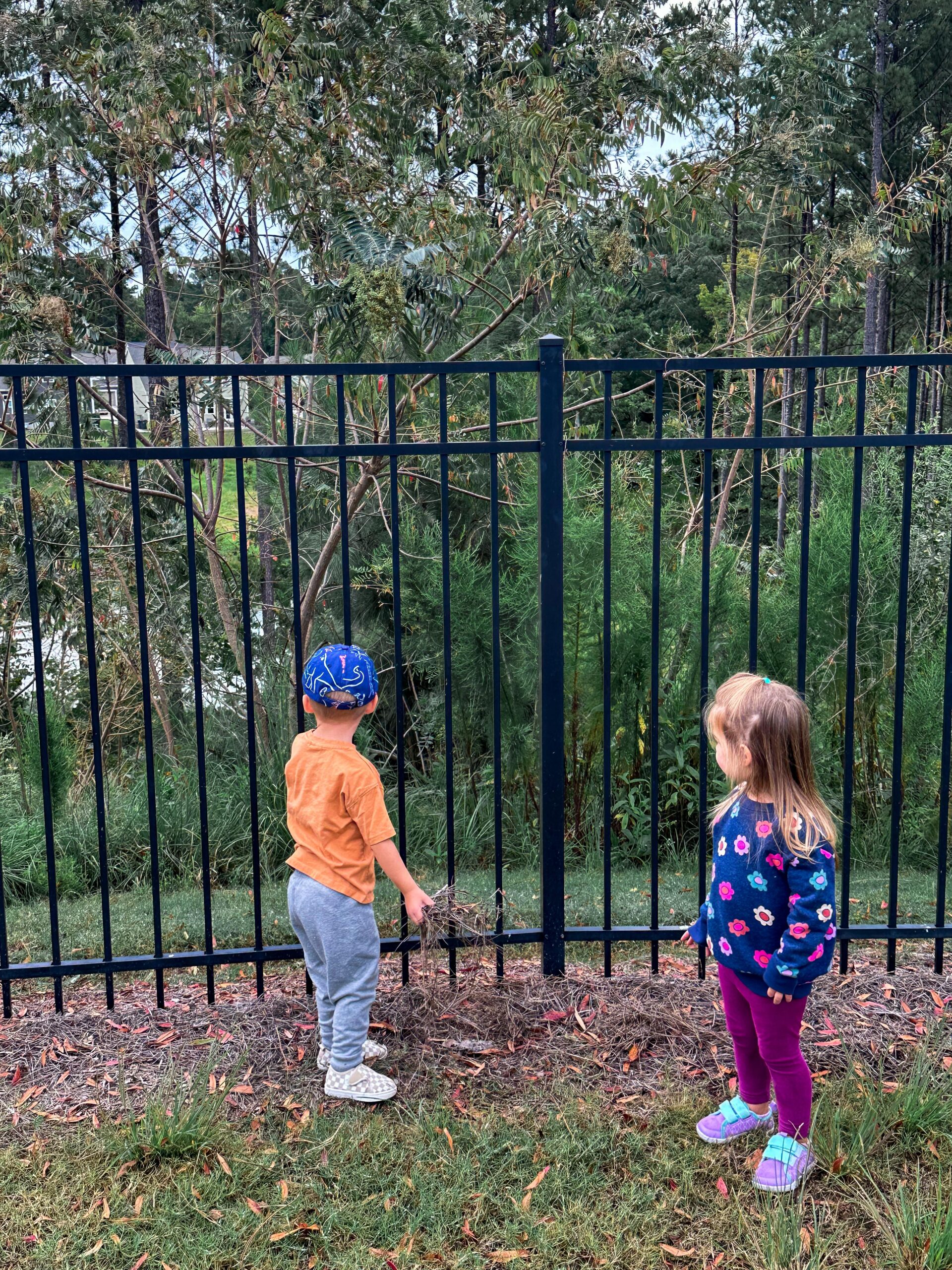 recap post, lifestyle blogger, mom life, fort mill south Carolina, toddlers, southpark, anne springs, parks in Charlotte, food, dinner, day in the life, boy mom, smoothies, healthy food, wax haw, recap post, daily life