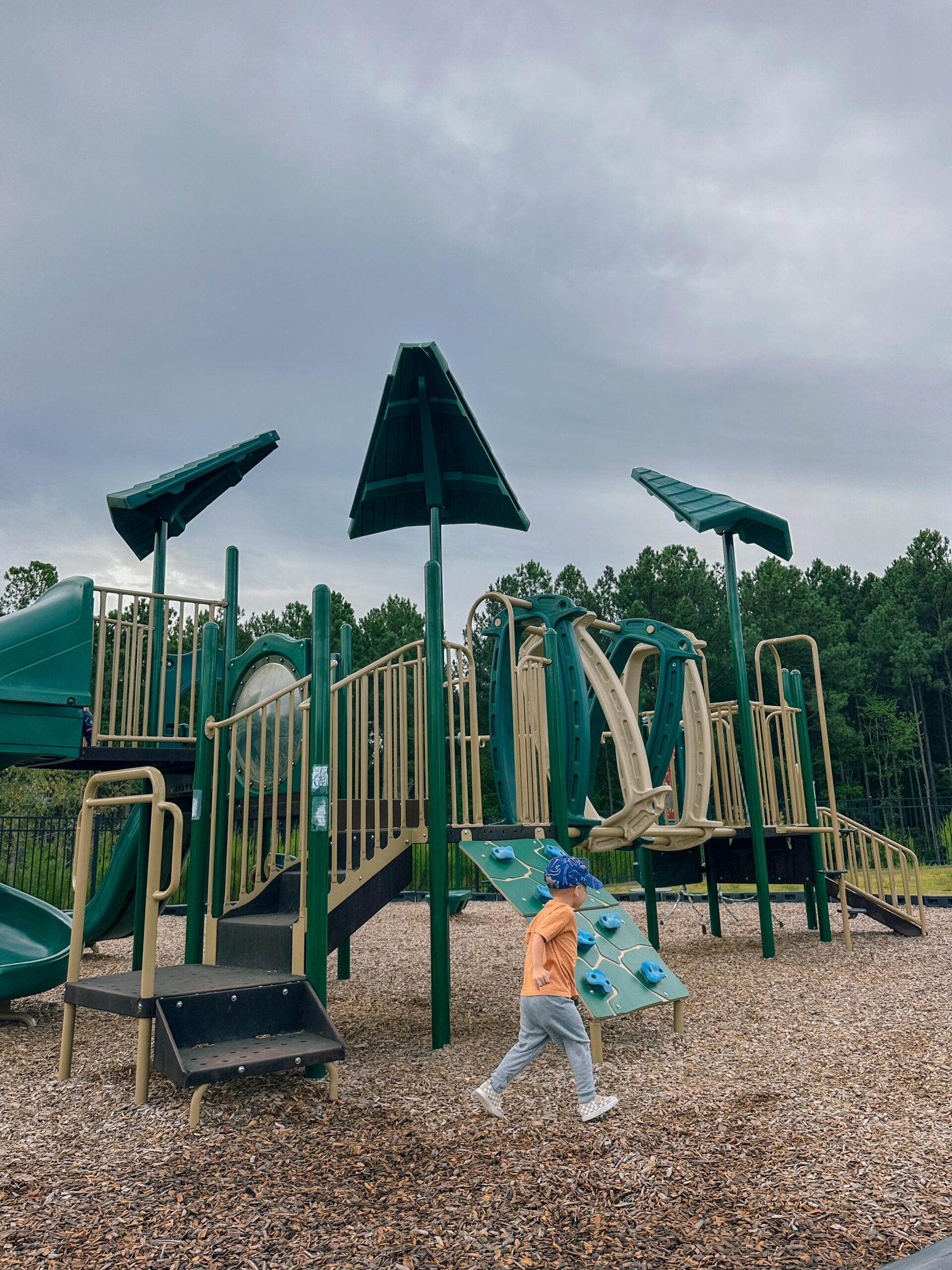 recap post, lifestyle blogger, mom life, fort mill south Carolina, toddlers, southpark, anne springs, parks in Charlotte, food, dinner, day in the life, boy mom, smoothies, healthy food, wax haw, recap post, daily life