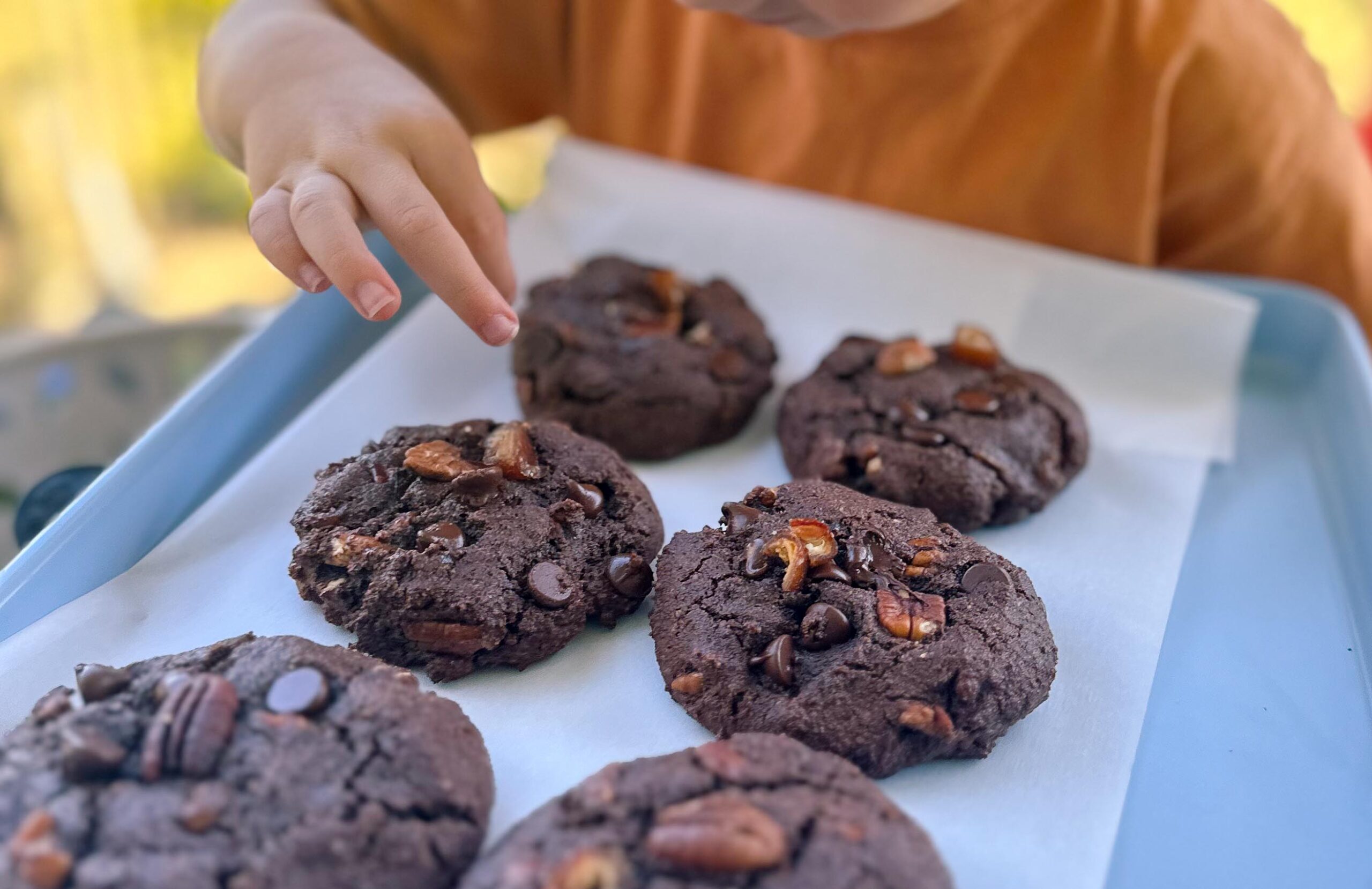 recap post, lifestyle blogger, mom life, fort mill south Carolina, toddlers, southpark, anne springs, parks in Charlotte, food, dinner, day in the life, boy mom, smoothies, healthy food, wax haw, recap post, daily life